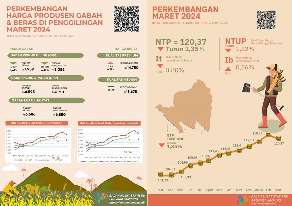 NTP Provinsi Lampung Maret 2024 sebesar 120,37 atau turun 1,35 persen, Harga GKG di Tingkat Petani turun 6,62 persen, dan Harga Beras Premium di Penggilingan naik 0,72 persen